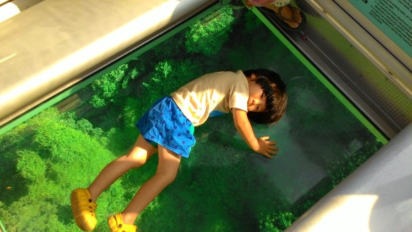 f0201157_00424957.jpg