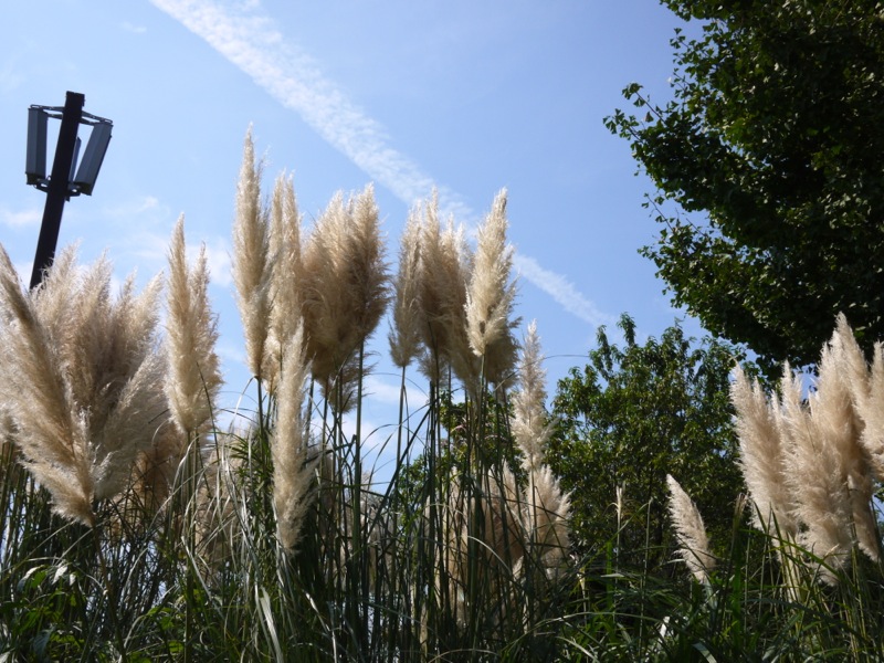 f0171559_1437096.jpg