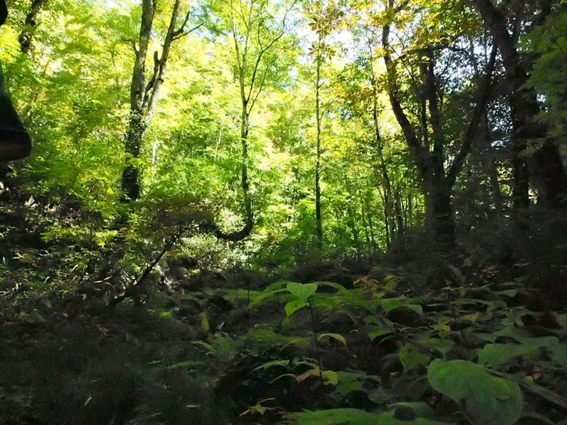c0321967_22553220.jpg