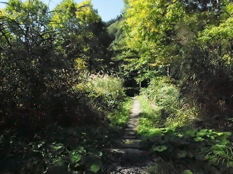 c0321967_22553534.jpg