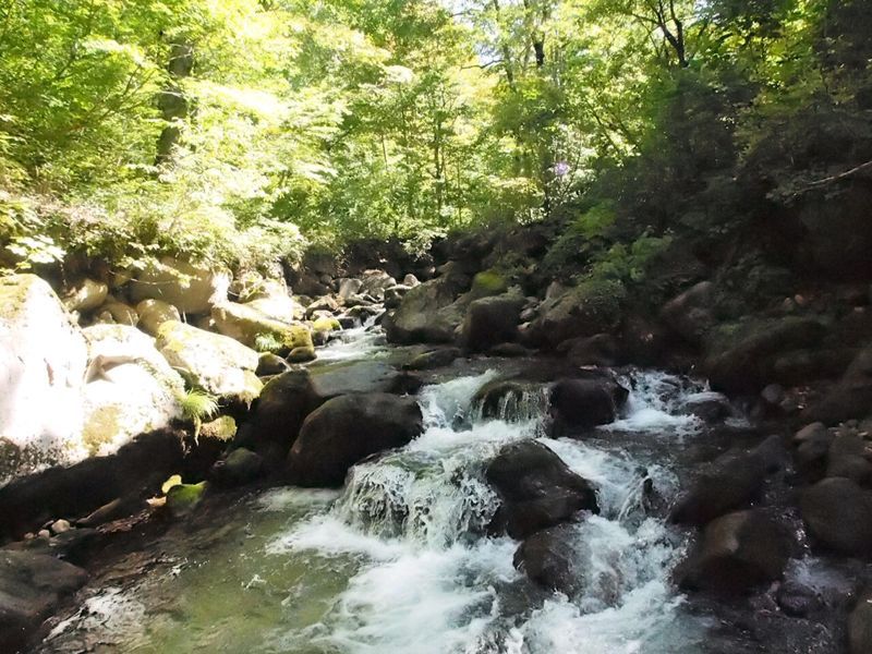 c0321967_225552100.jpg