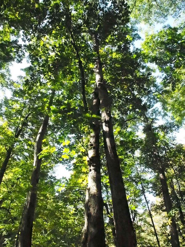 c0321967_22573371.jpg