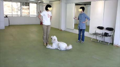 e0161972_9232163.png