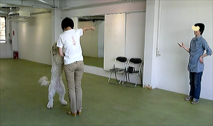 e0161972_933315.png