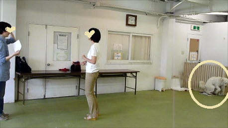 e0161972_9504134.png