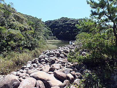 e0066586_762863.jpg
