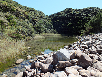 e0066586_763530.jpg