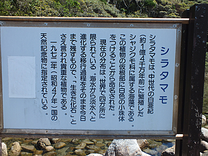 e0066586_764186.jpg
