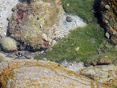 e0066586_764959.jpg