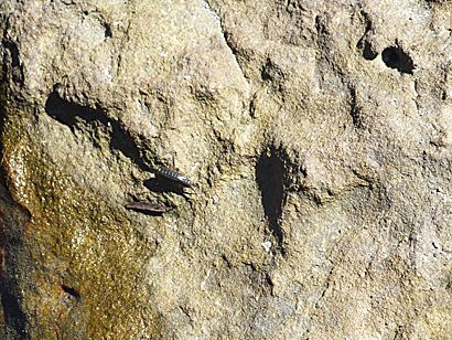 e0066586_765547.jpg