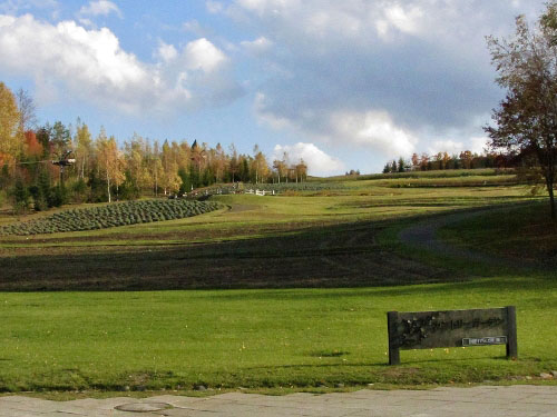 b0348195_23134599.jpg
