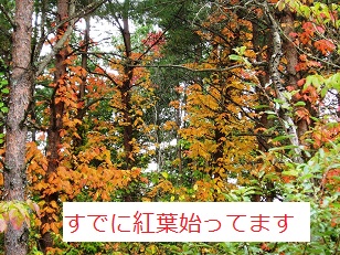 b0200310_193654100.jpg