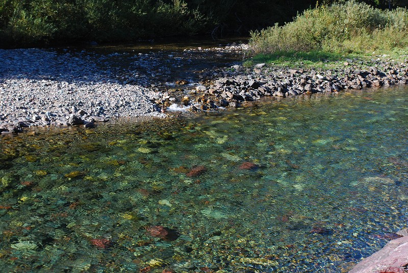 b0021211_11394156.jpg