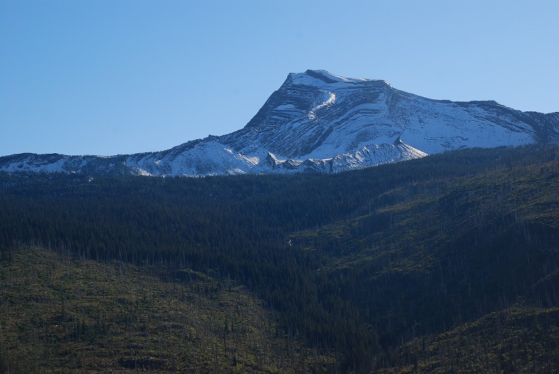 b0021211_1144029.jpg