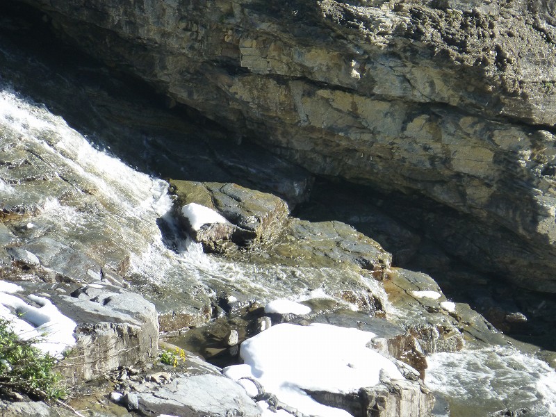 b0021211_11501234.jpg