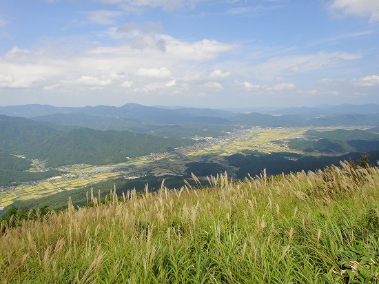 c0337813_0101289.jpg
