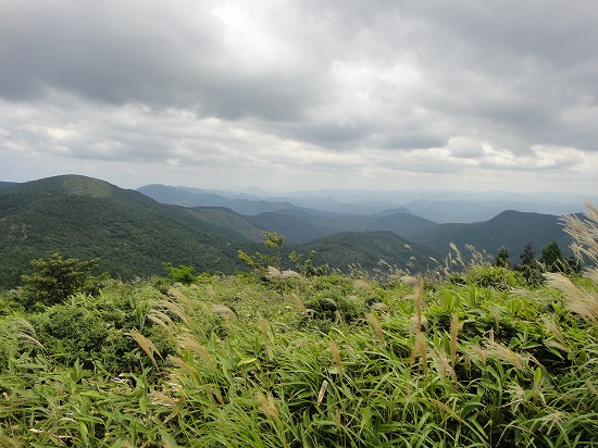 c0337813_0101347.jpg