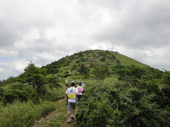 c0337813_0101354.jpg