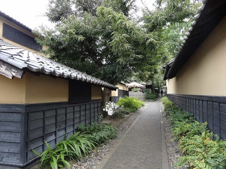 c0337813_710495.jpg