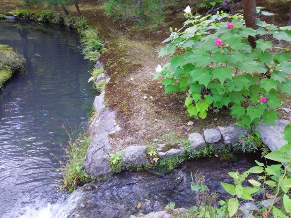 e0033713_18303054.jpg