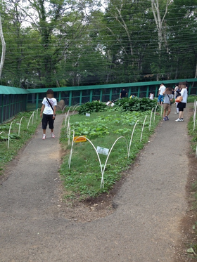 b0121019_20113918.png