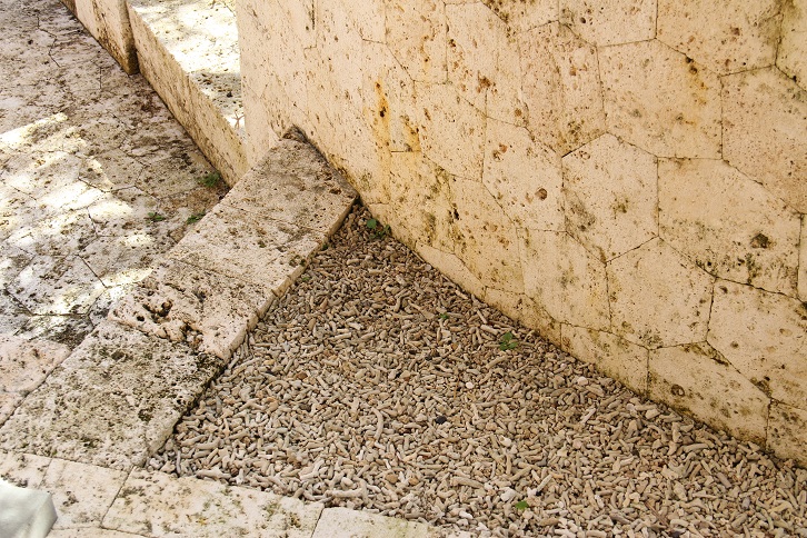 d0027320_20352612.jpg