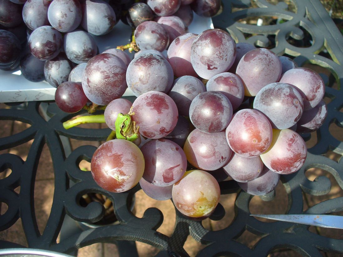 f0346527_2226329.jpg