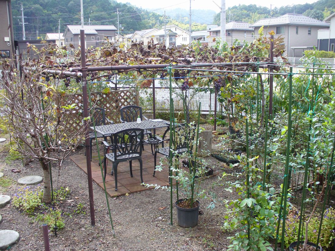 f0346527_2255569.jpg