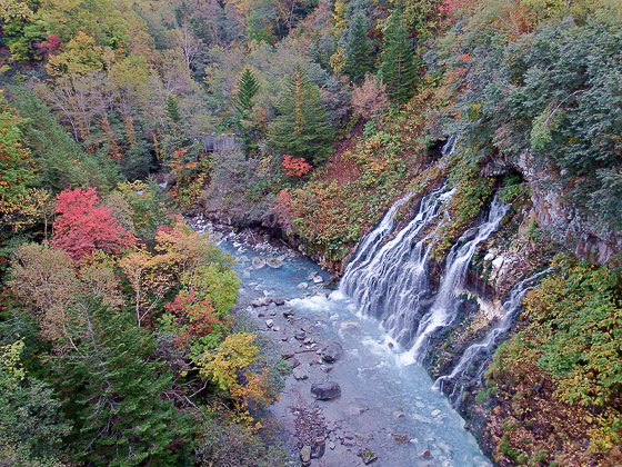 e0025030_8492945.jpg