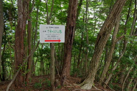 b0281732_11253163.jpg