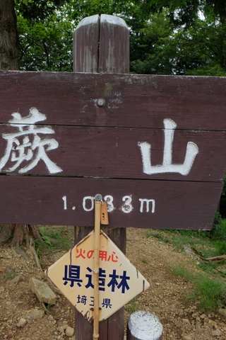 b0281732_11254931.jpg