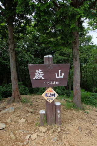 b0281732_11261184.jpg