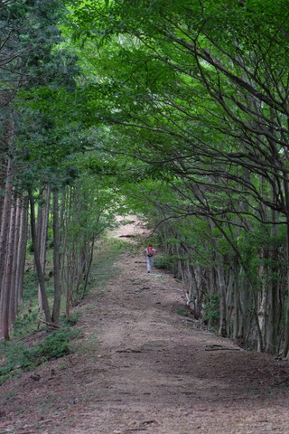 b0281732_11262874.jpg