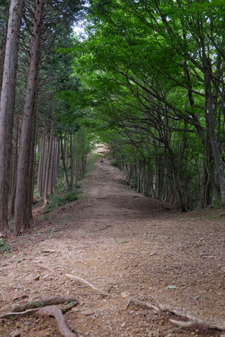 b0281732_11263548.jpg