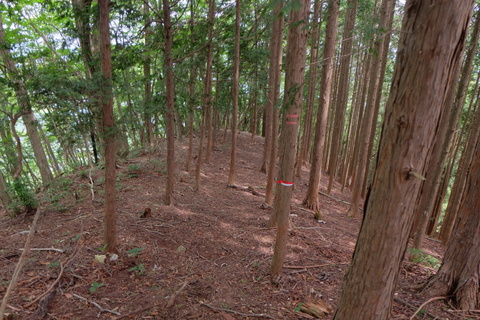 b0281732_112734.jpg