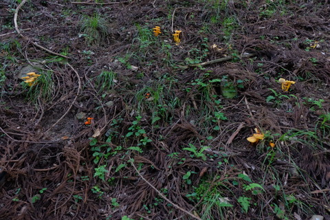 b0281732_11293072.jpg