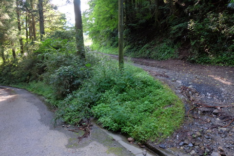 b0281732_1130681.jpg