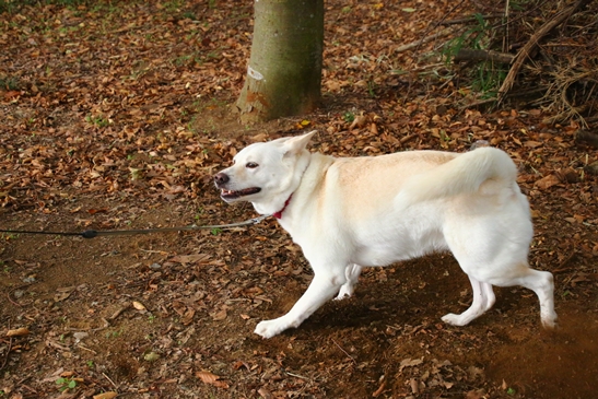 f0195543_233551.jpg