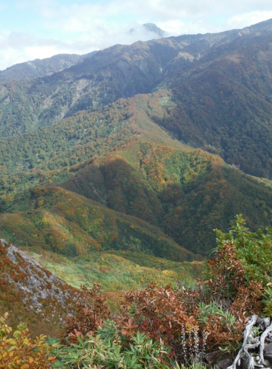 b0304662_22124046.jpg