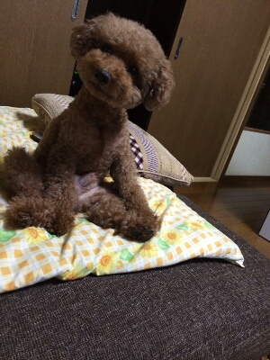 d0124072_9201194.jpg