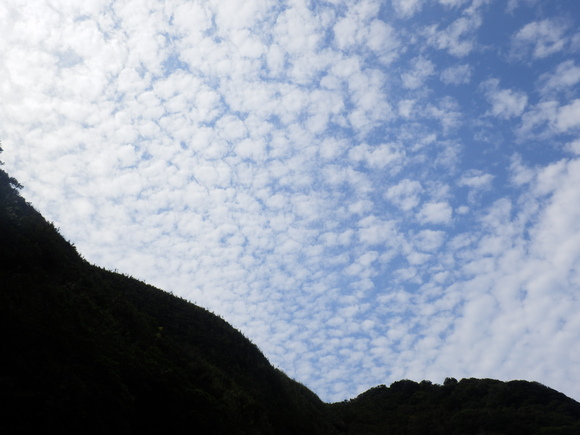 e0292172_20375796.jpg