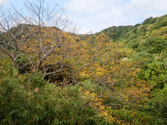 e0292172_20394966.jpg