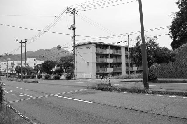 f0219074_16200447.jpg