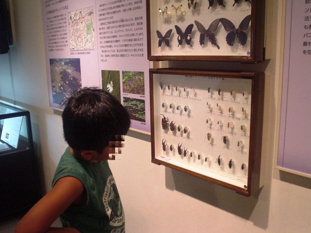 d0155582_224733100.jpg
