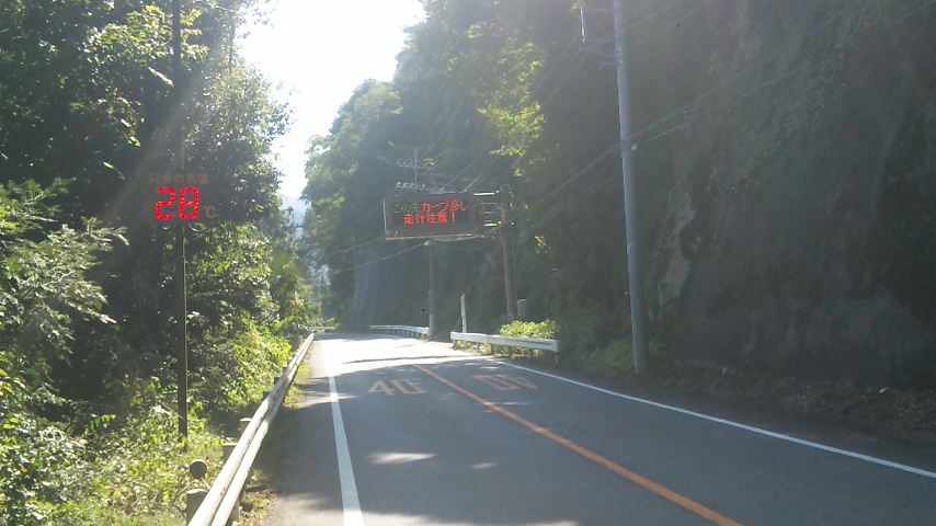 f0131183_1231479.jpg