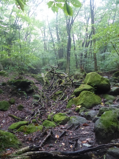 f0357487_2227595.jpg