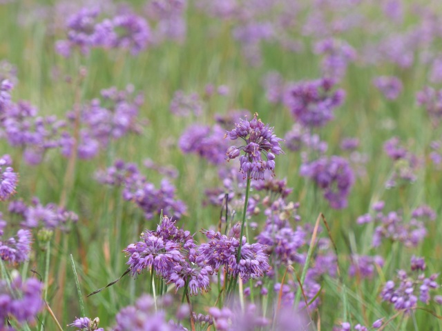 f0357487_22354426.jpg
