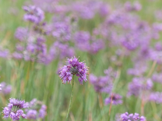 f0357487_2237131.jpg