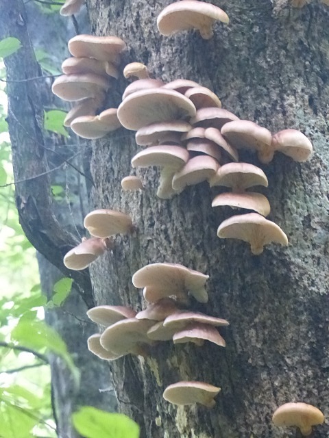 f0357487_22435235.jpg