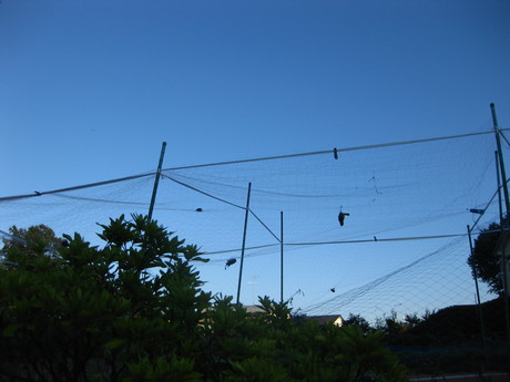 d0160692_23432444.jpg